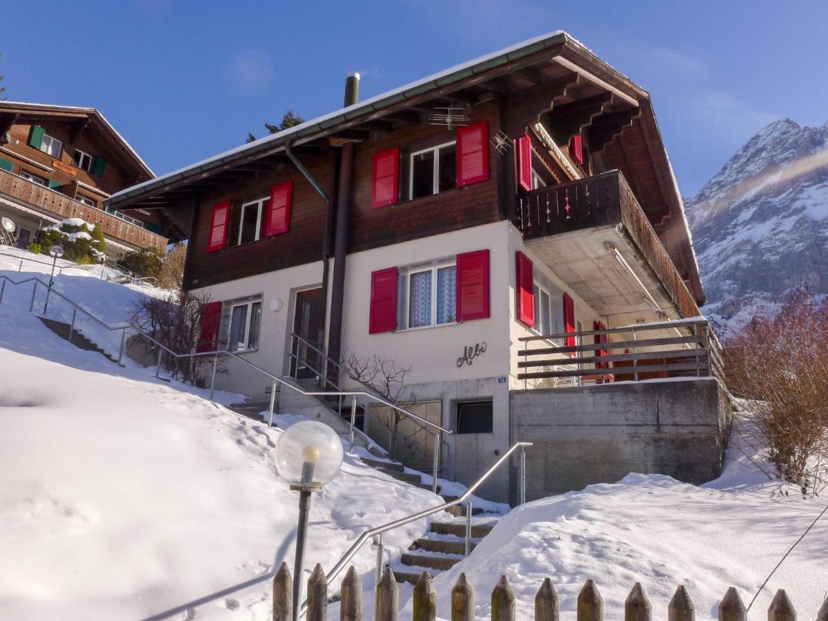 Apartment Chalet Albi By Interhome Grindelwald Luaran gambar