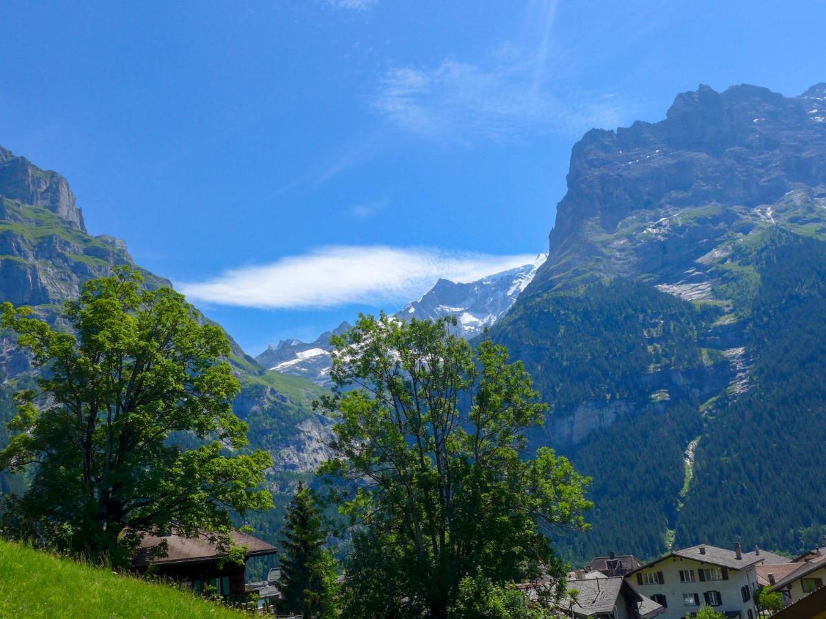 Apartment Chalet Albi By Interhome Grindelwald Luaran gambar