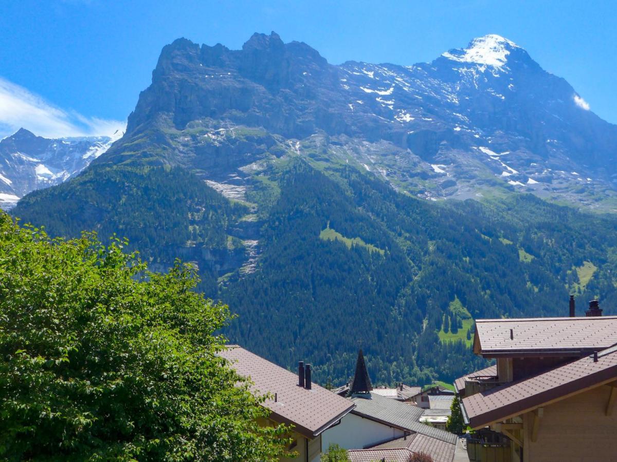 Apartment Chalet Albi By Interhome Grindelwald Luaran gambar