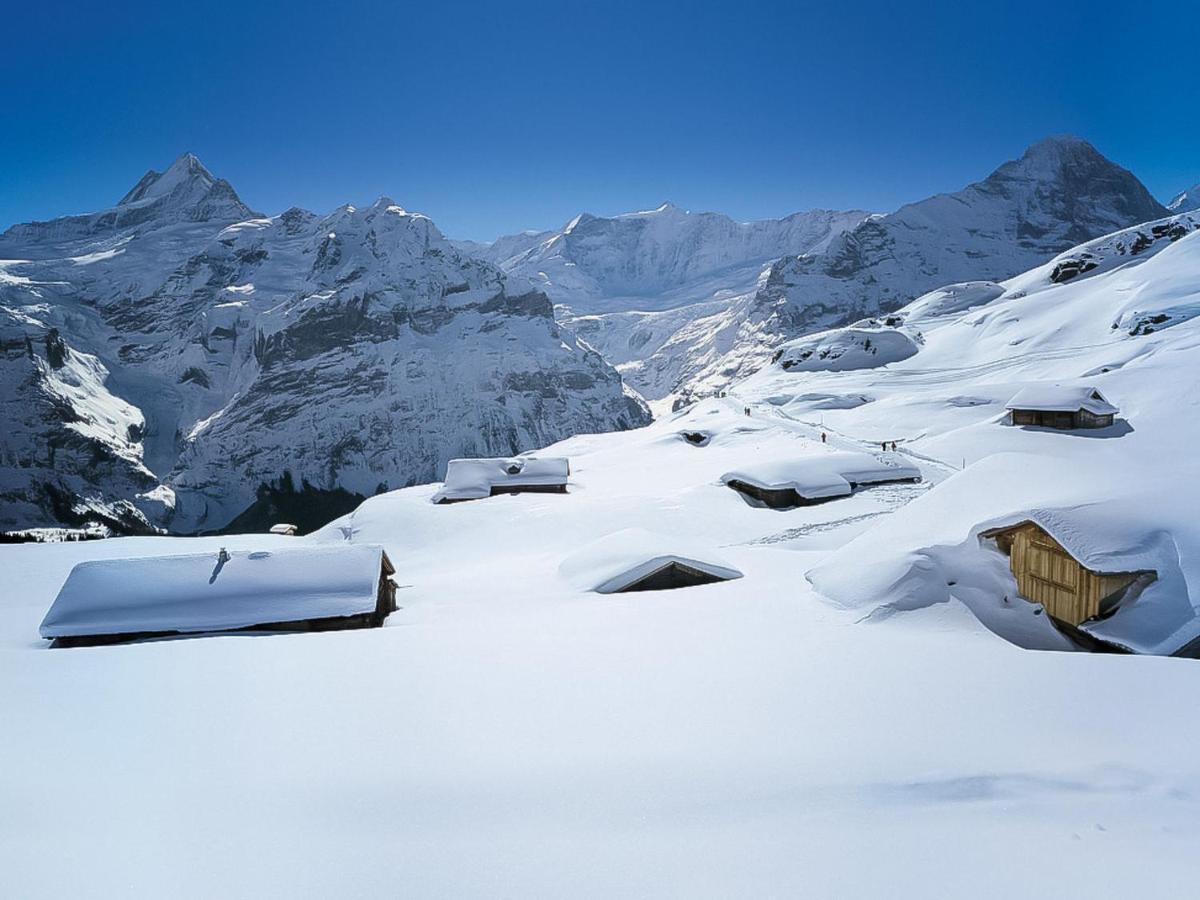 Apartment Chalet Albi By Interhome Grindelwald Luaran gambar